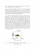 [인간행동] 스키너 생애와 이론-20