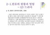 한류문화의 현황과 영향-13
