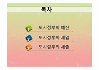 [도시행정론] 제7장 도시 재정-2