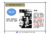 [근현대사] 일재 잔재 청산 -해방정국에서의 친일파 청산문제-8