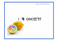 [국제식품정책론] GMO의 안전성 및 각국의 제도-3