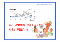 [국제식품정책론] GMO의 안전성 및 각국의 제도-4