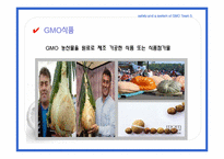 [국제식품정책론] GMO의 안전성 및 각국의 제도-10