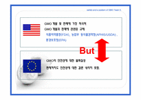 [국제식품정책론] GMO의 안전성 및 각국의 제도-14