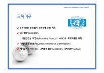 [국제식품정책론] GMO의 안전성 및 각국의 제도-16