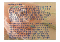 과거청산과 역사인식-19