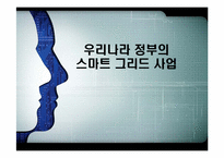 [전자정부론] 우리나라 정부의 스마트 그리드 사업-1