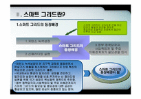 [전자정부론] 우리나라 정부의 스마트 그리드 사업-7