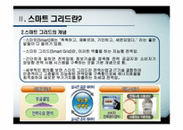 [전자정부론] 우리나라 정부의 스마트 그리드 사업-8