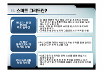 [전자정부론] 우리나라 정부의 스마트 그리드 사업-11