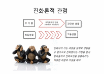 창조론 VS 진화론-4