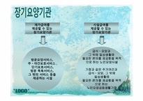 [사회복지정책론] 노인수발장기요양보험제도-15