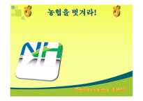 [조직행동] 농협문제점과 해결방안-1