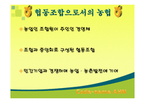 [조직행동] 농협문제점과 해결방안-5