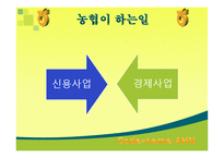 [조직행동] 농협문제점과 해결방안-6