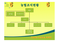 [조직행동] 농협문제점과 해결방안-7