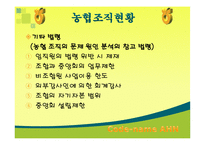 [조직행동] 농협문제점과 해결방안-8