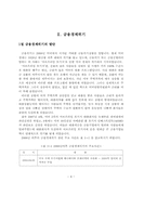 [졸업논문][회계학] 금융경제위기와 대책-4