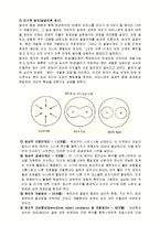 [상담이론] 대상관계 이론-6