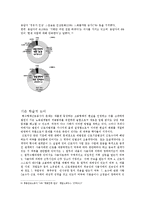 [산업복지론] 특수고용노동자(화물운송노동자)의 문제점과 해결방안-7