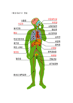 [학교사회복지론] 흡연학생을 위한 금연 프로그램-13