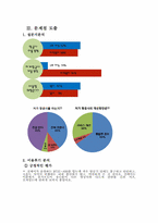 [소비자행동론] 저가항공 진에어 관한 마케팅-12