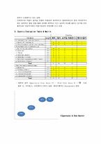 [글로벌경영] 페루의 리스크 분석-10