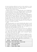 [조직심리] SK의 인사선발에 관한 분석-11