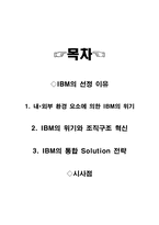 [조직구조] IBM의 조직구조 사례-1