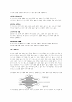 [조직구조] IBM의 조직구조 사례-8