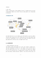 [해외시장조사] 미샤의 중국 진출 전략-2