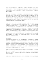 [해외시장조사] 미샤의 중국 진출 전략-11
