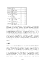[해외시장조사] 미샤의 중국 진출 전략-14