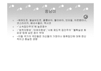 [리더십의이해] 문화와 리더십에 관한 분석-13