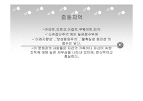 [리더십의이해] 문화와 리더십에 관한 분석-15