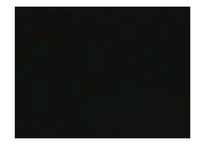 [마케팅조사론] 롱러브콘돔의 pricing 마케팅에관한 분석-3