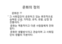 [문화와리더십] 문화가 리더십에 미치는 영향-8