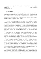 [국제기업] 월마트의 국제경영 전략조사 및 사례분석-12