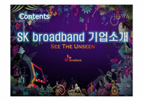 [마케팅조사론] SK브로드밴드의 경쟁을위한 고객평가-3