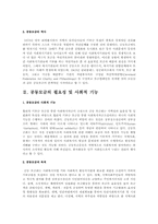 공동모금회 레포트-2