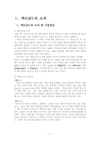 패스트푸드 맥도날드와 경쟁업체 비교분석 -STP, SWOT분석을 중심-3