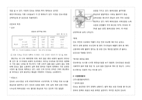 [국제경영] 룰루비데 인도시장진출 전략-2