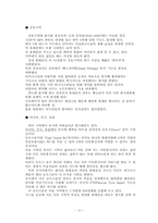 `문명충돌이론`의 시각에서 `노키아와 삼성모바일` 비교-12