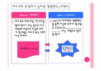 [서비스마케팅](주)세스코 와 중국의 환경산업 시장-5