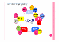[서비스마케팅](주)세스코 와 중국의 환경산업 시장-17