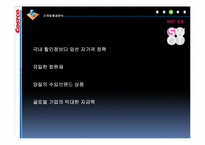 코스트코 COSTCO의 마케팅전략-13