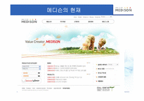 [기술경영학] 중소기업의 실패 -MEDISON 메디슨-16