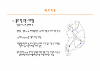[소매] 하이마트 성공 분석-9