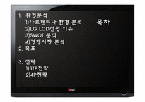 [국제마케팅] LCD모니터 아르헨티나 시장진출전략-1