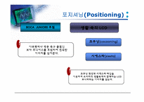 [국제마케팅] LCD모니터 아르헨티나 시장진출전략-12